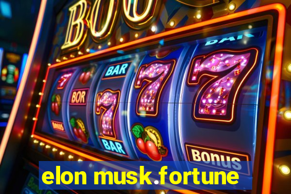 elon musk.fortune