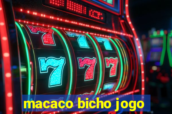 macaco bicho jogo