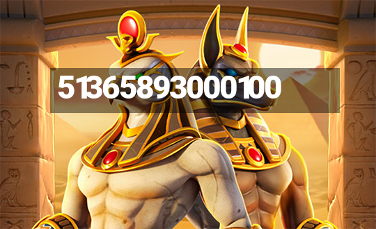 51365893000100