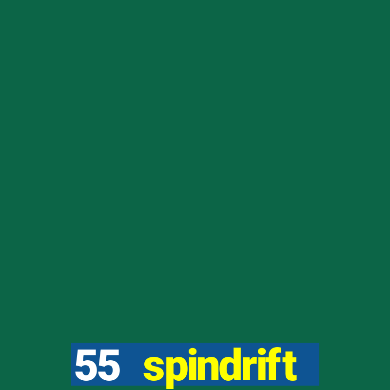 55 spindrift williamsville ny