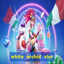 white orchid slot machine free