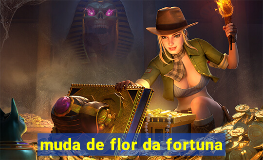 muda de flor da fortuna