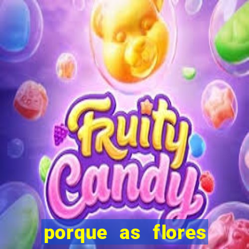 porque as flores da roma caem