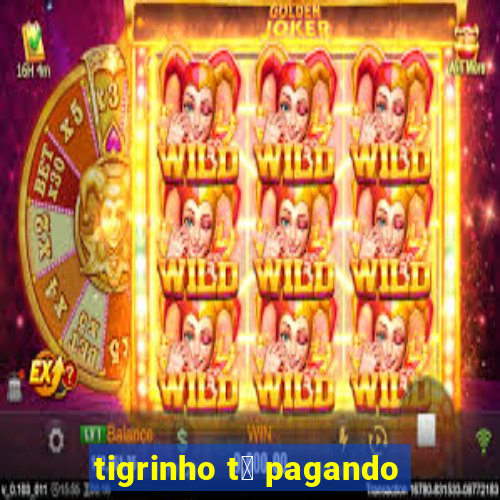 tigrinho t谩 pagando