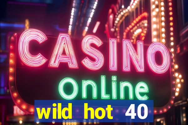 wild hot 40 christmas slot