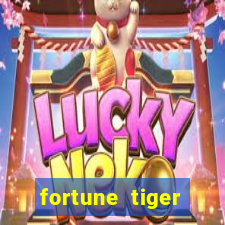 fortune tiger grande ganho