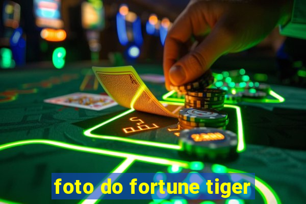 foto do fortune tiger