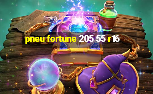 pneu fortune 205 55 r16