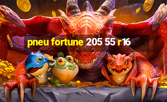 pneu fortune 205 55 r16