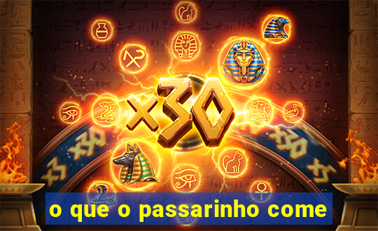 o que o passarinho come