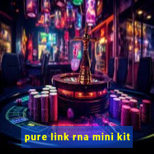 pure link rna mini kit