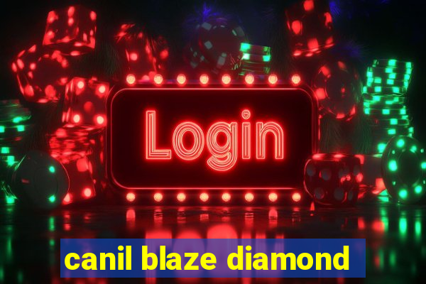 canil blaze diamond