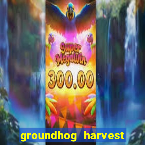 groundhog harvest pg slot