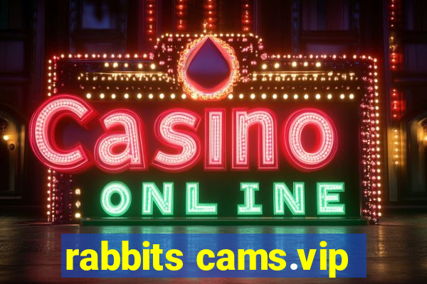 rabbits cams.vip