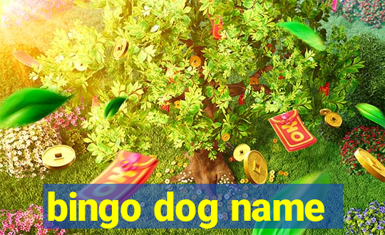 bingo dog name