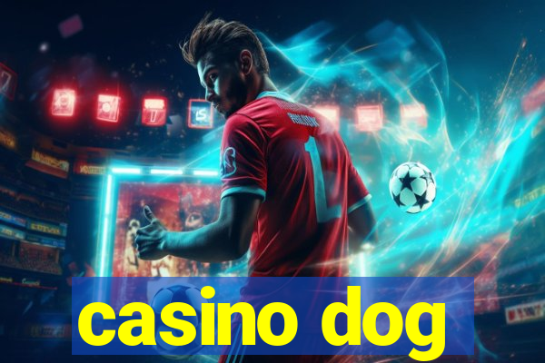 casino dog