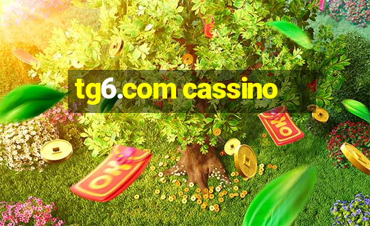 tg6.com cassino