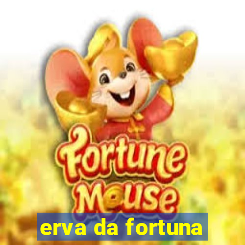 erva da fortuna