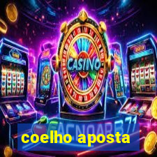 coelho aposta