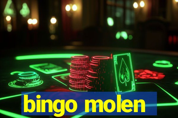 bingo molen