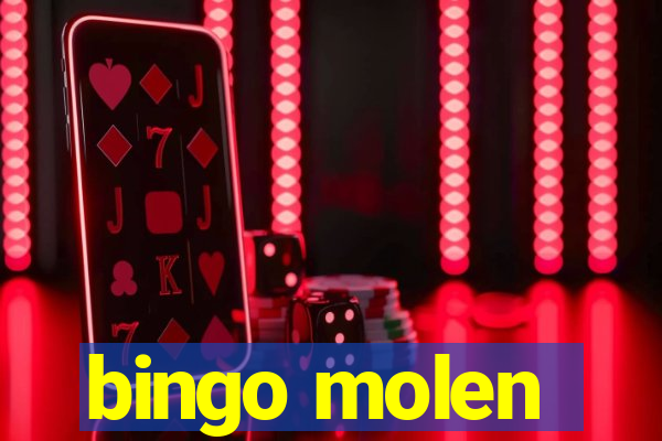 bingo molen