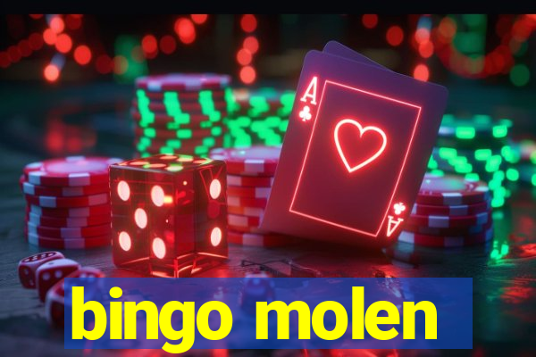 bingo molen