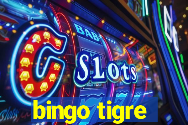 bingo tigre