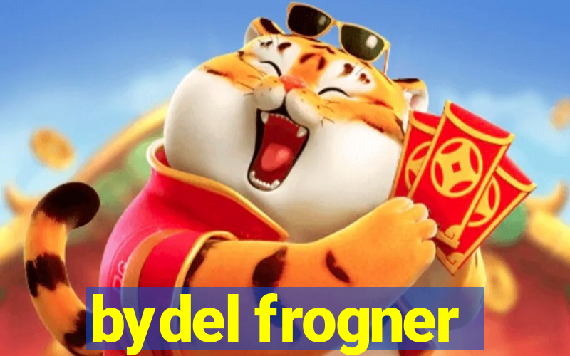 bydel frogner