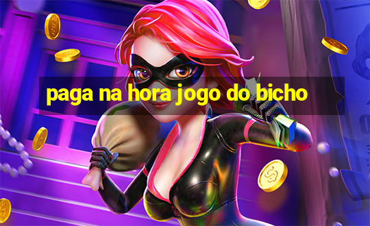 paga na hora jogo do bicho