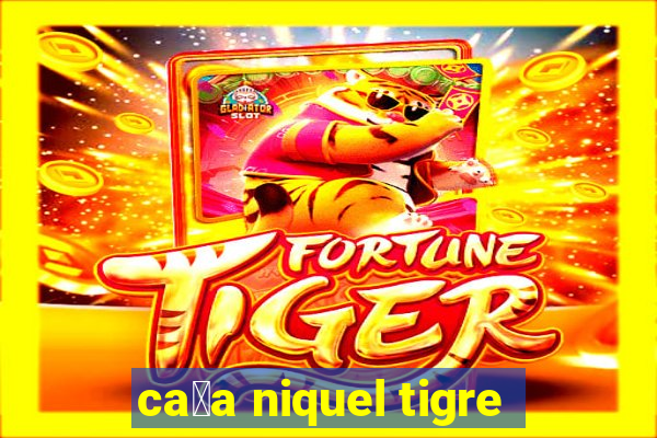 ca莽a niquel tigre