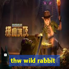 thw wild rabbit