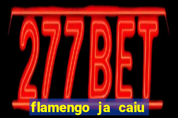 flamengo ja caiu para serie b