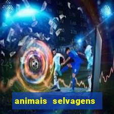 animais selvagens fotos e nomes