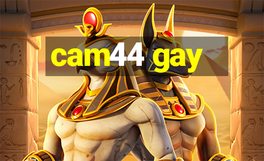 cam44 gay