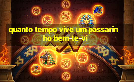 quanto tempo vive um passarinho bem-te-vi