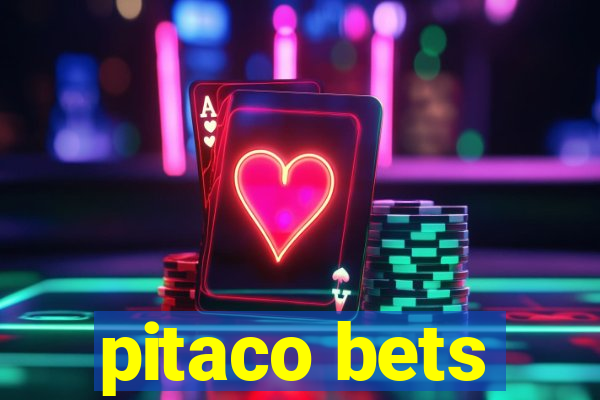 pitaco bets