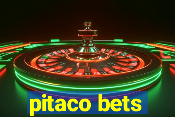 pitaco bets