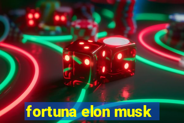 fortuna elon musk