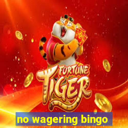 no wagering bingo