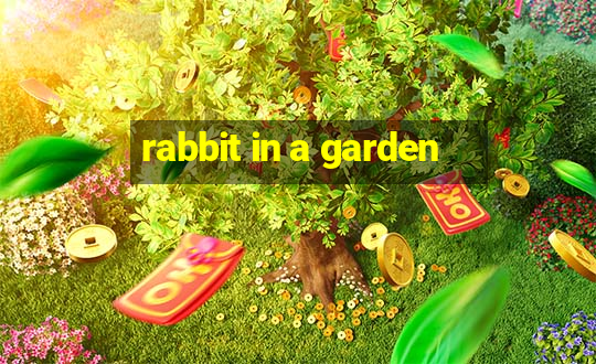 rabbit in a garden