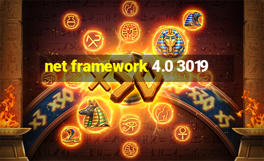 net framework 4.0 3019