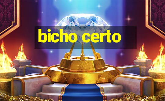 bicho certo