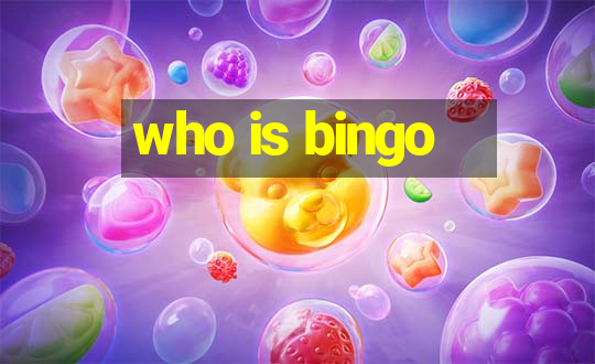 who is bingo