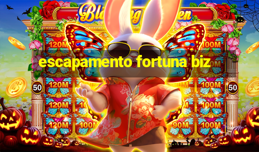 escapamento fortuna biz