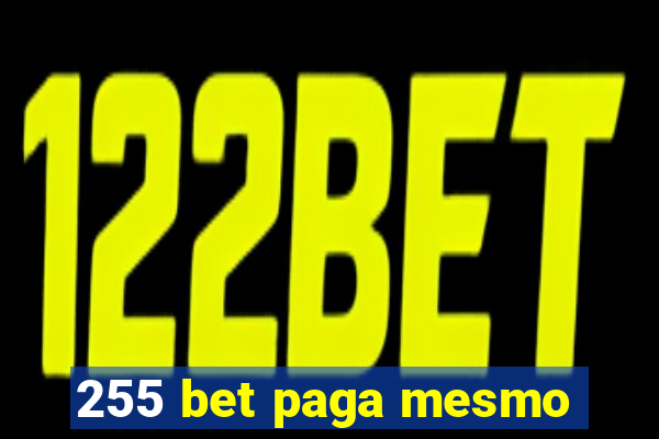 255 bet paga mesmo