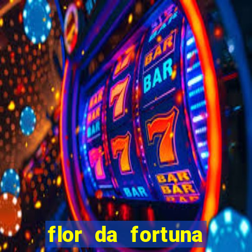 flor da fortuna como cuidar