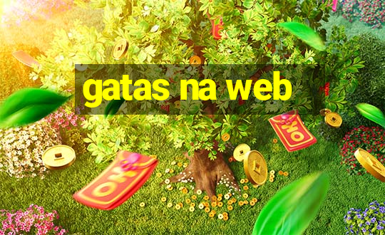 gatas na web