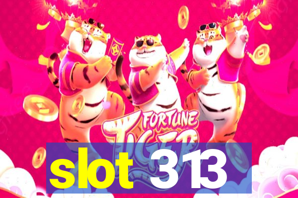 slot 313