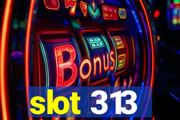 slot 313