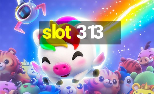 slot 313